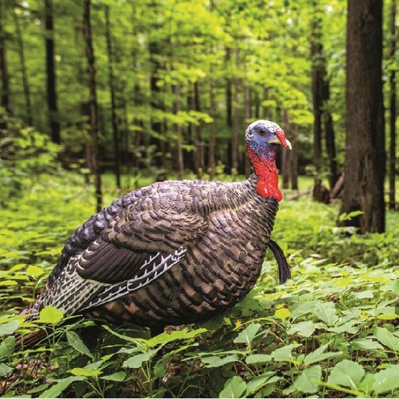 Avian-X Turkey Jake Decoy with Carry Bag - Picture 1 of 3